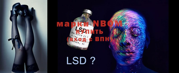 ГАЛЛЮЦИНОГЕННЫЕ ГРИБЫ Кукмор