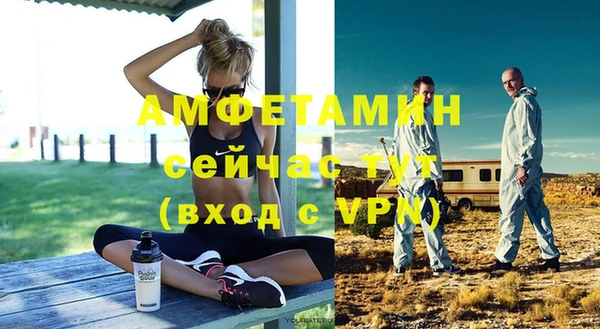 гидра Краснослободск