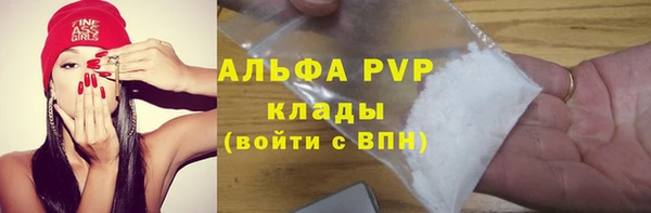 спайс Бородино