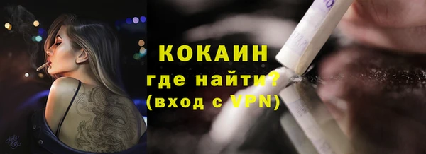 гидра Краснослободск