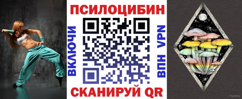 ссылка на мегу tor  даркнет сайт  Чадан  Псилоцибиновые грибы мицелий 
